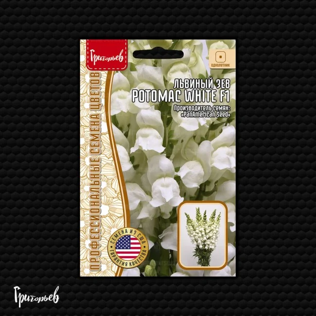 Потомак White