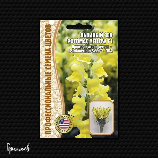 Потомак Yellow