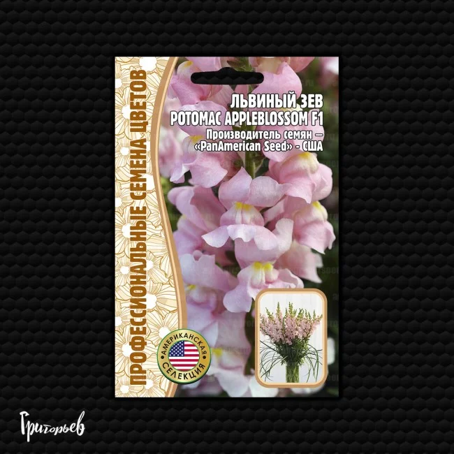 Потомак Яблоневый