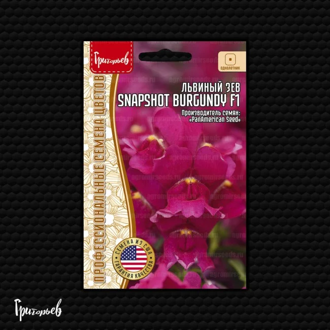 Снэпшот Burgundy