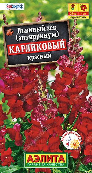 карликовый красный