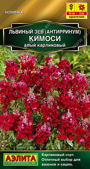 Кимоси алый карликовый