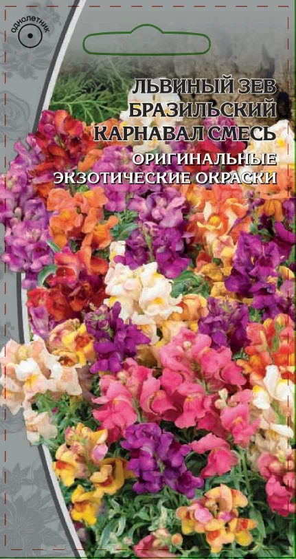 Миниатюра изображения сорта Бразильский карнавал смесь