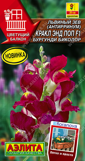 Кракл энд поп  бургунди биколор