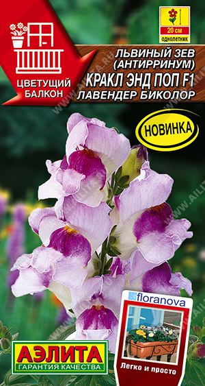 Кракл энд поп  лавендер биколор