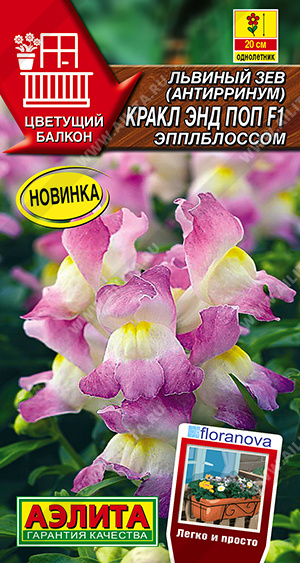 Кракл энд поп  эпплблоссом