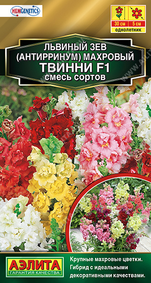 махровый Твинни 