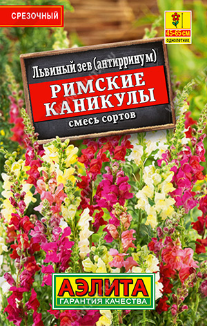 Римские каникулы