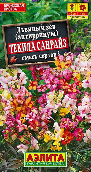 Текила санрайз