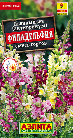 Филадельфия