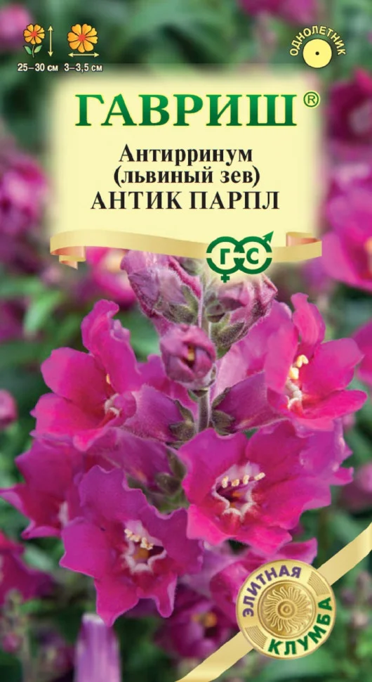 Антик Парпл