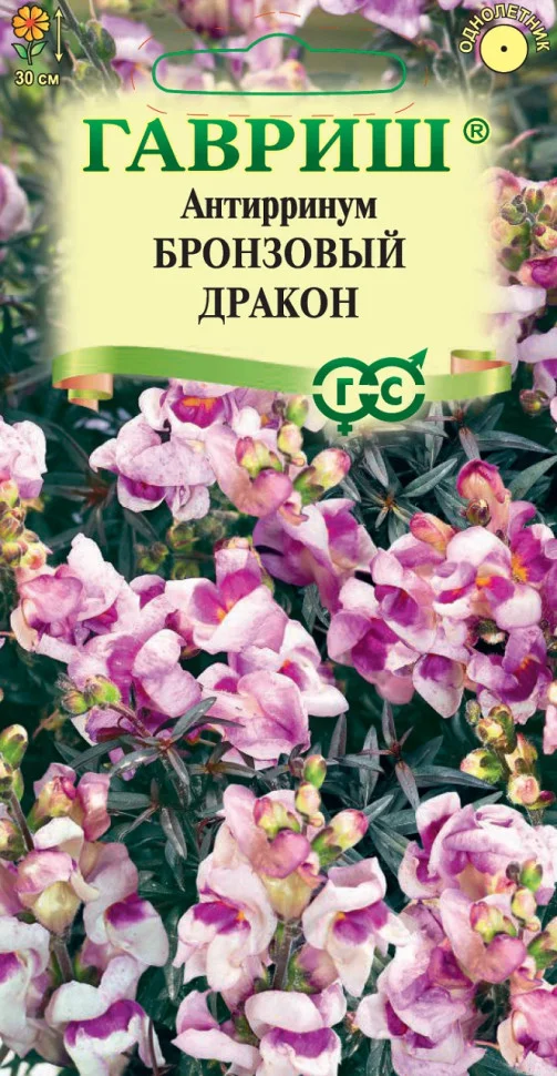 Бронзовый дракон 