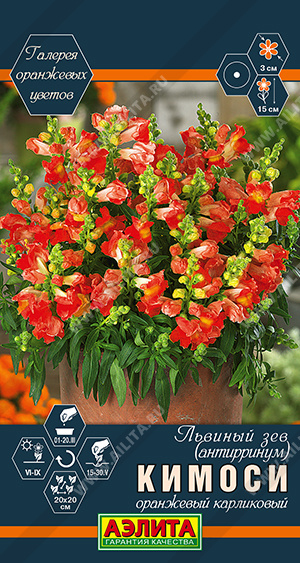 Кимоси оранжевый карликовый
