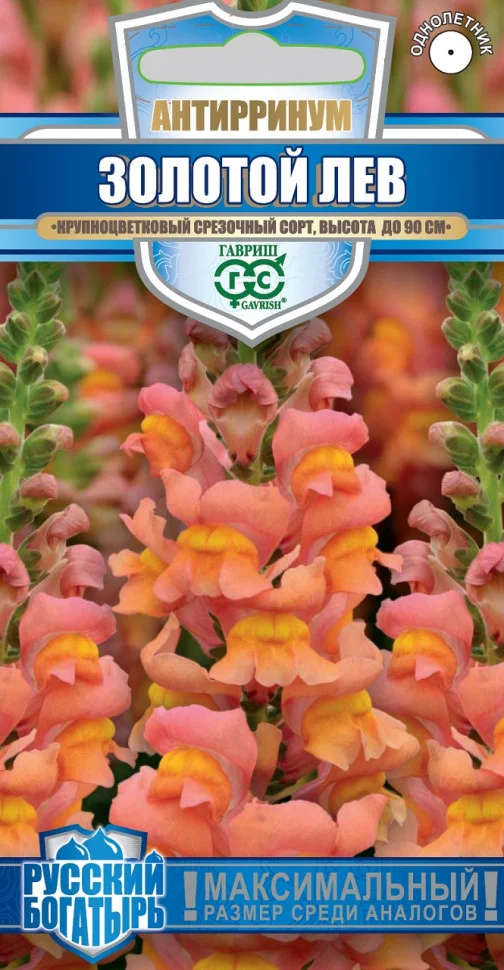 Золотой лев 