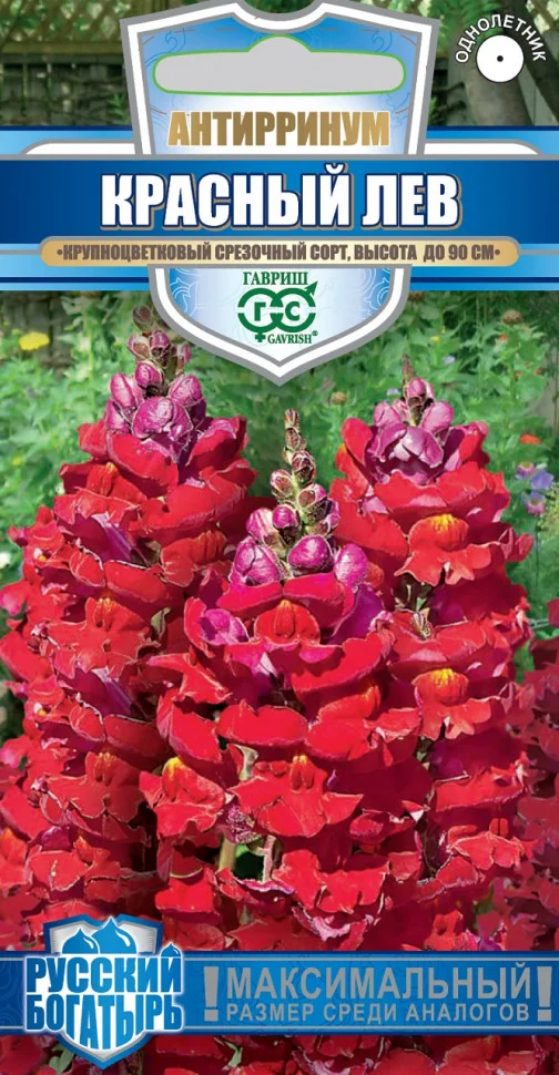 Красный лев 