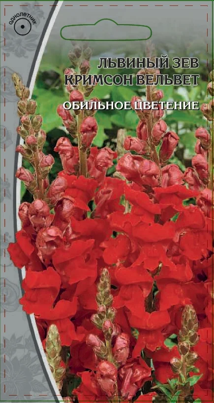 Миниатюра изображения сорта Кримсон вельвет