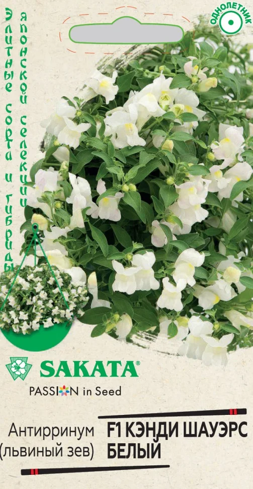 Кэнди Шауэрс белый