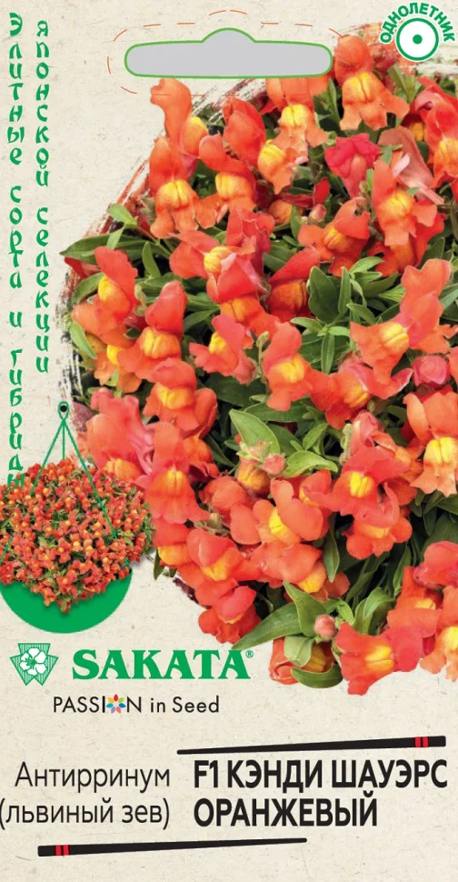 Кэнди Шауэрс оранжевый