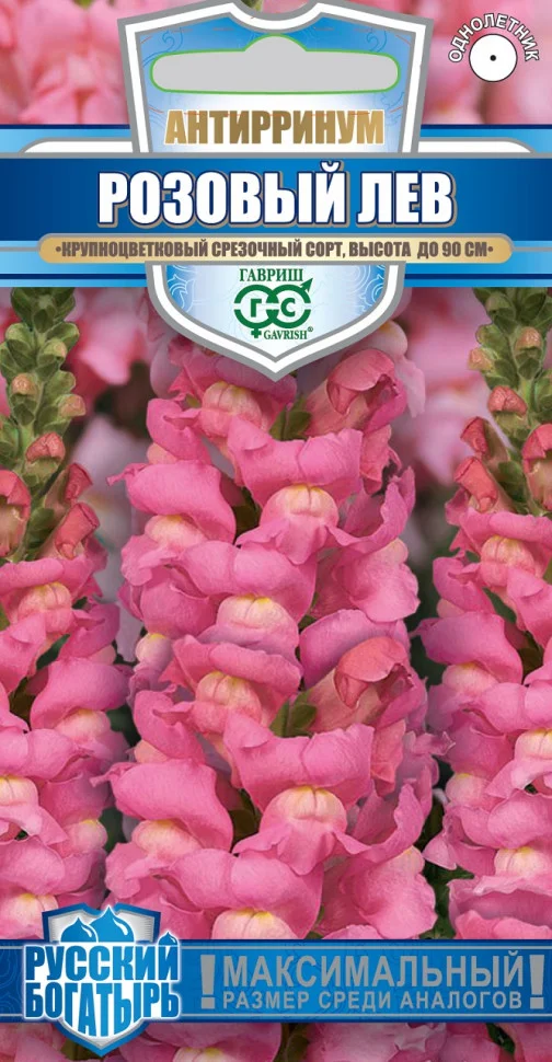 Розовый лев