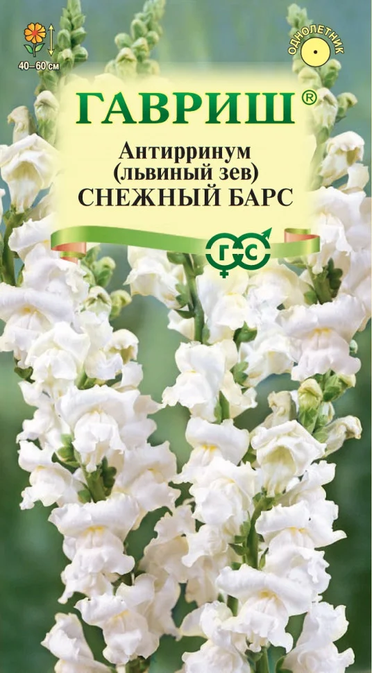 Снежный барс