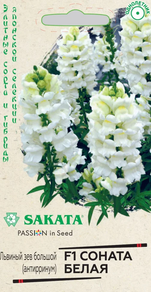 Соната белая 