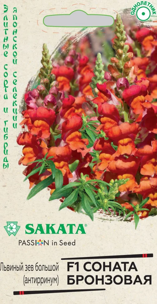 Соната бронзовая 