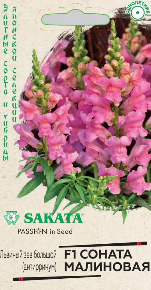 Соната малиновая 