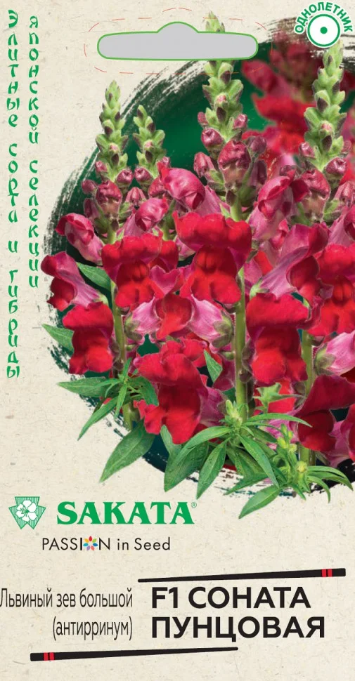 Соната пунцовая 