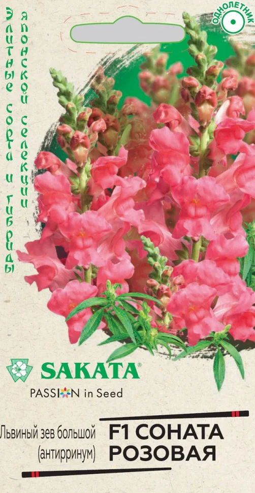 Соната розовая 