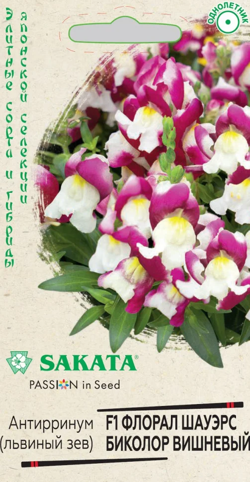 Флорал Шауэрс Биколор вишневый