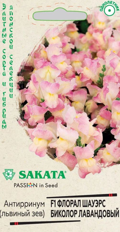 Флорал Шауэрс Биколор лавандовый