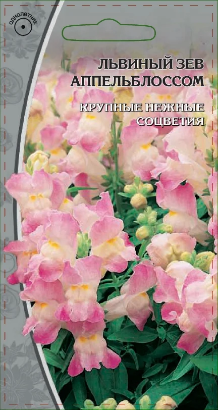 Апельблоссом