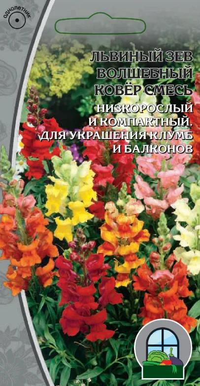 Волшебный ковер