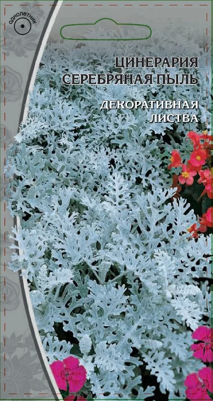 Миниатюра изображения сорта Серебряная пыль