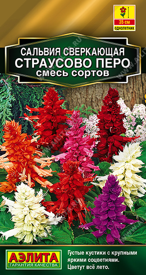 Страусово перо