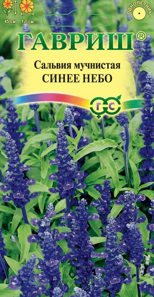 Синее небо