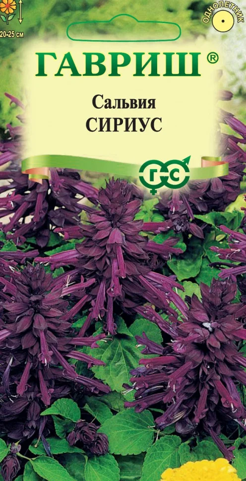 Сириус