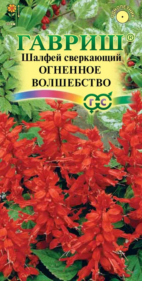 Огненное волшебство