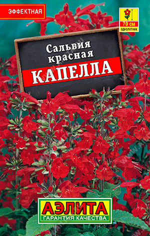 Капелла