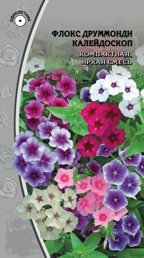 Миниатюра изображения сорта Калейдоскоп