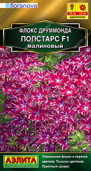 Попстарс малиновый