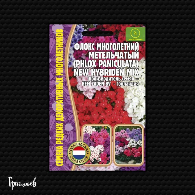 New Hybriden Mix многолетний метельчатый