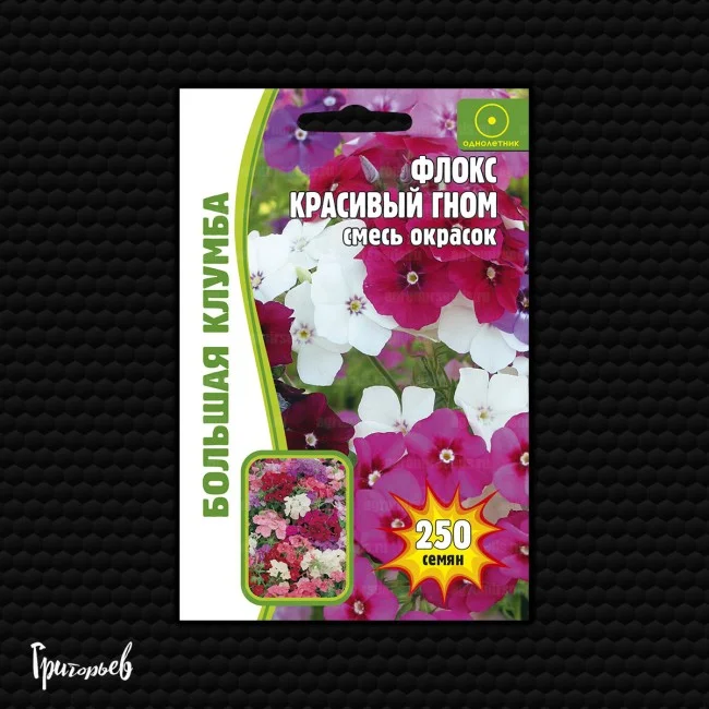 Красивый Гном смесь