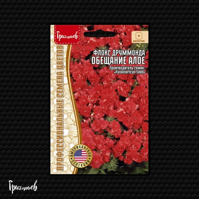 Обещание Алое друммонда