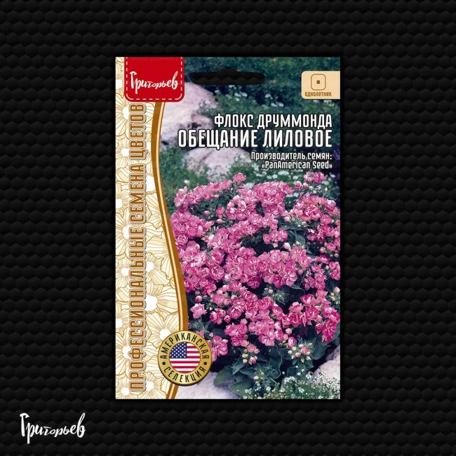 Обещание Лиловое друммонда