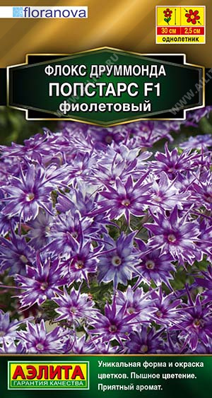 Попстарс фиолетовый