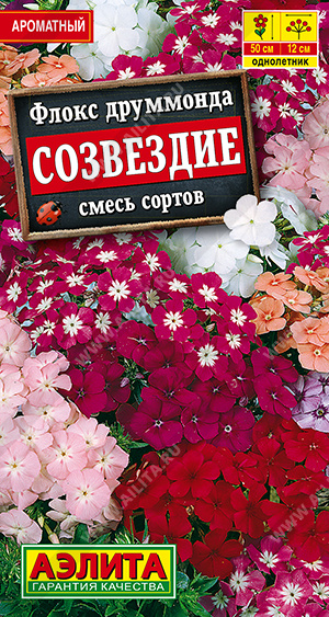 Созвездие