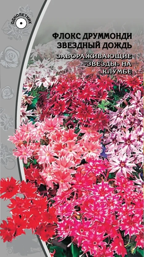 Миниатюра изображения сорта Звездный дождь