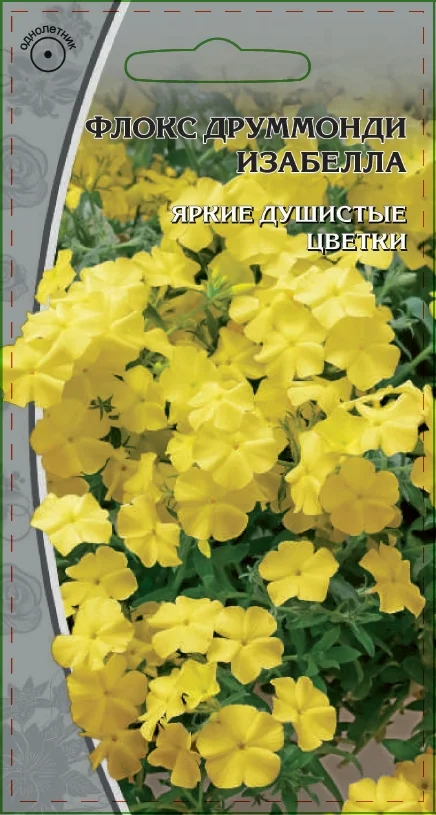 Миниатюра изображения сорта Изабелла