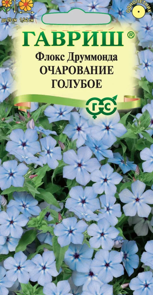 Очарование голубое 